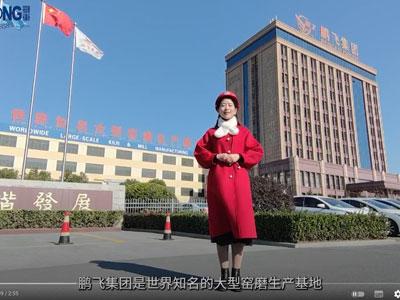 160x3500 3 Rollen Platten walz maschine-Benutzer Pengfei vor Ort